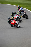 PJ-Motorsport-2019;donington-no-limits-trackday;donington-park-photographs;donington-trackday-photographs;no-limits-trackdays;peter-wileman-photography;trackday-digital-images;trackday-photos